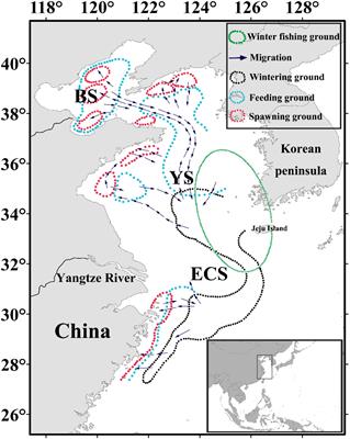 Impact of Climate Change on Wintering Ground of Japanese Anchovy (Engraulis japonicus) Using Marine Geospatial Statistics